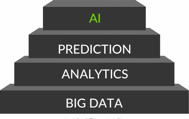 From Big Data to AI